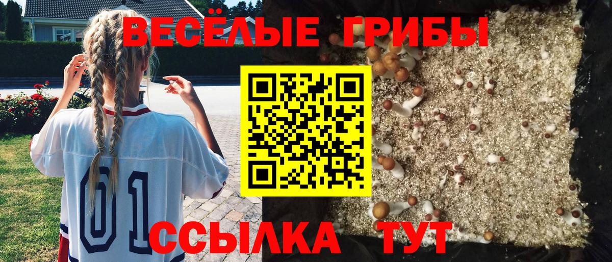 Киреевск  Псилоцибиновые грибы ЛСД  купить наркоту  Псилоцибиновые грибы мухоморы  Вход с VPN 